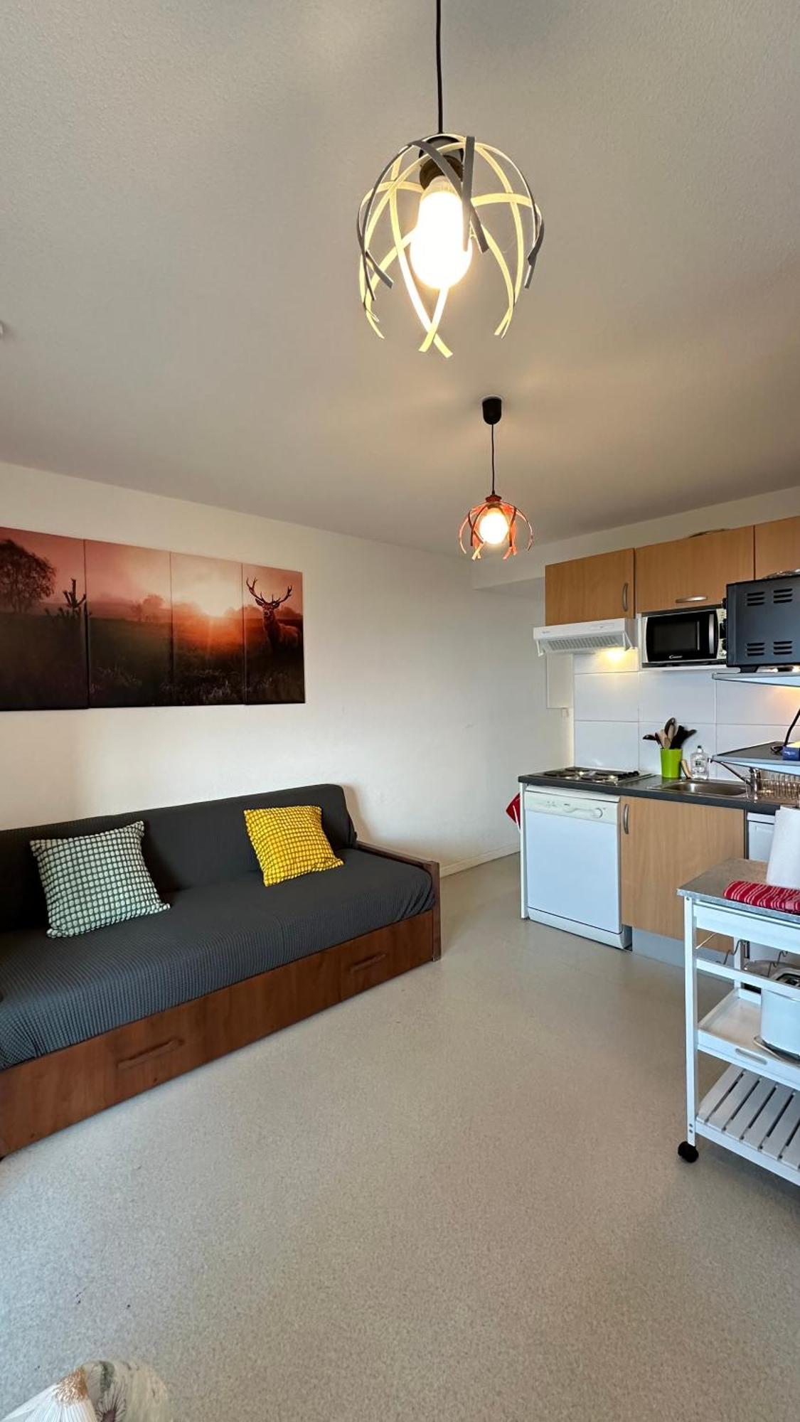 Appartements Du Pic D'Anie Arette Ngoại thất bức ảnh