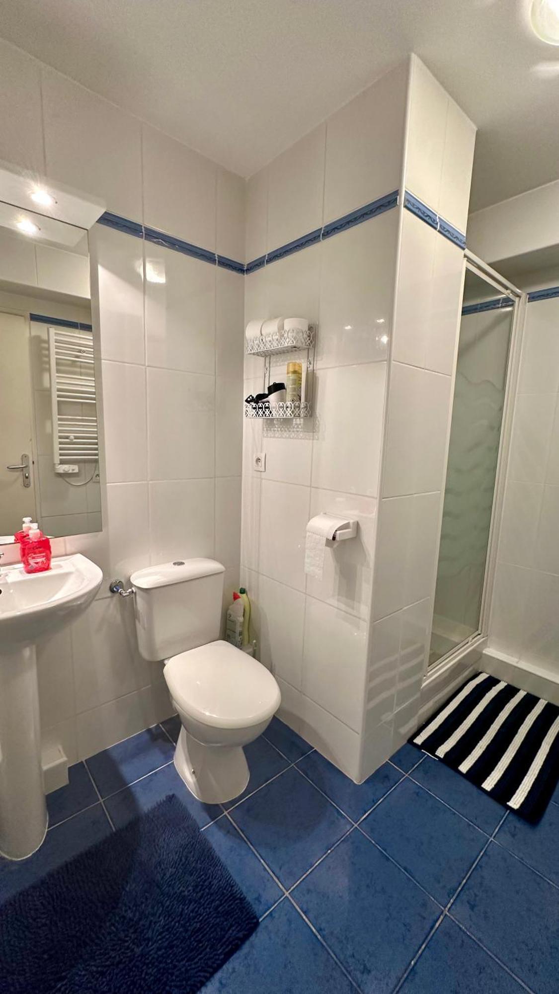 Appartements Du Pic D'Anie Arette Ngoại thất bức ảnh